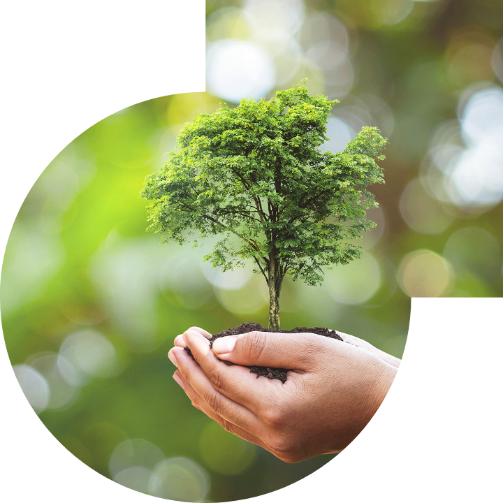 关怀人类、文化、环境与社会